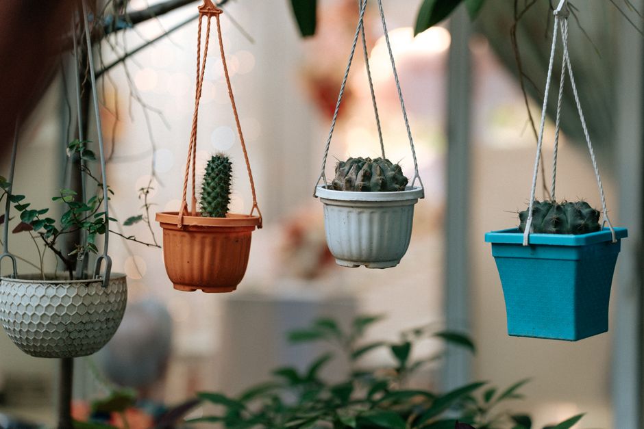 Hangende planten versieren balkon met bloemenpracht.